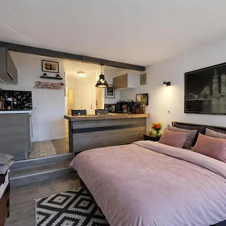 Studio Magnifique Vue Mer, Port-Deauville, Proche Plage, Centre-Ville Et Casino Apartament